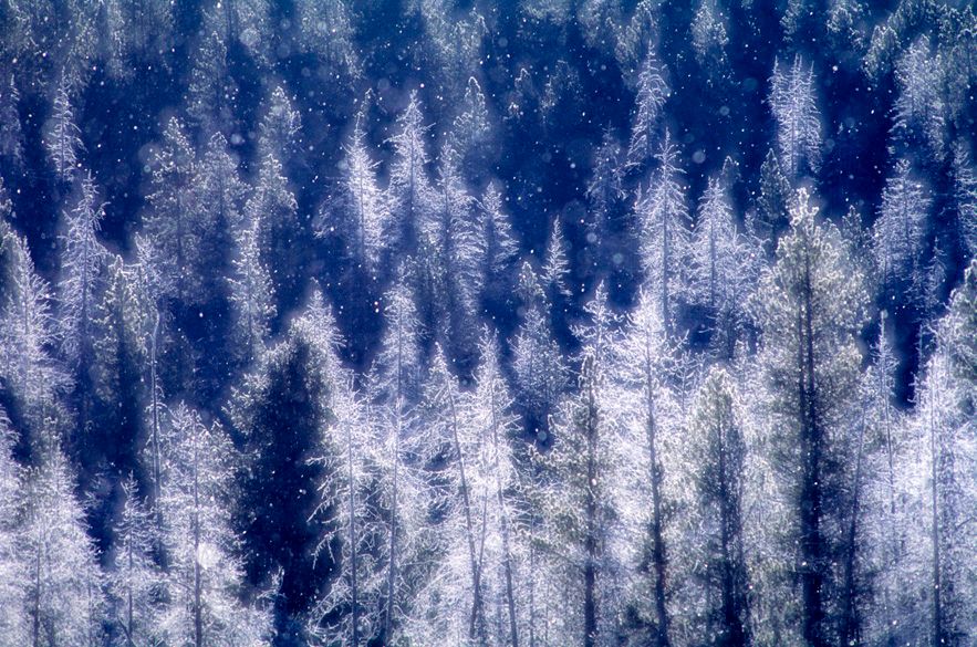 00474 Geyser Snow-TIB.jpg