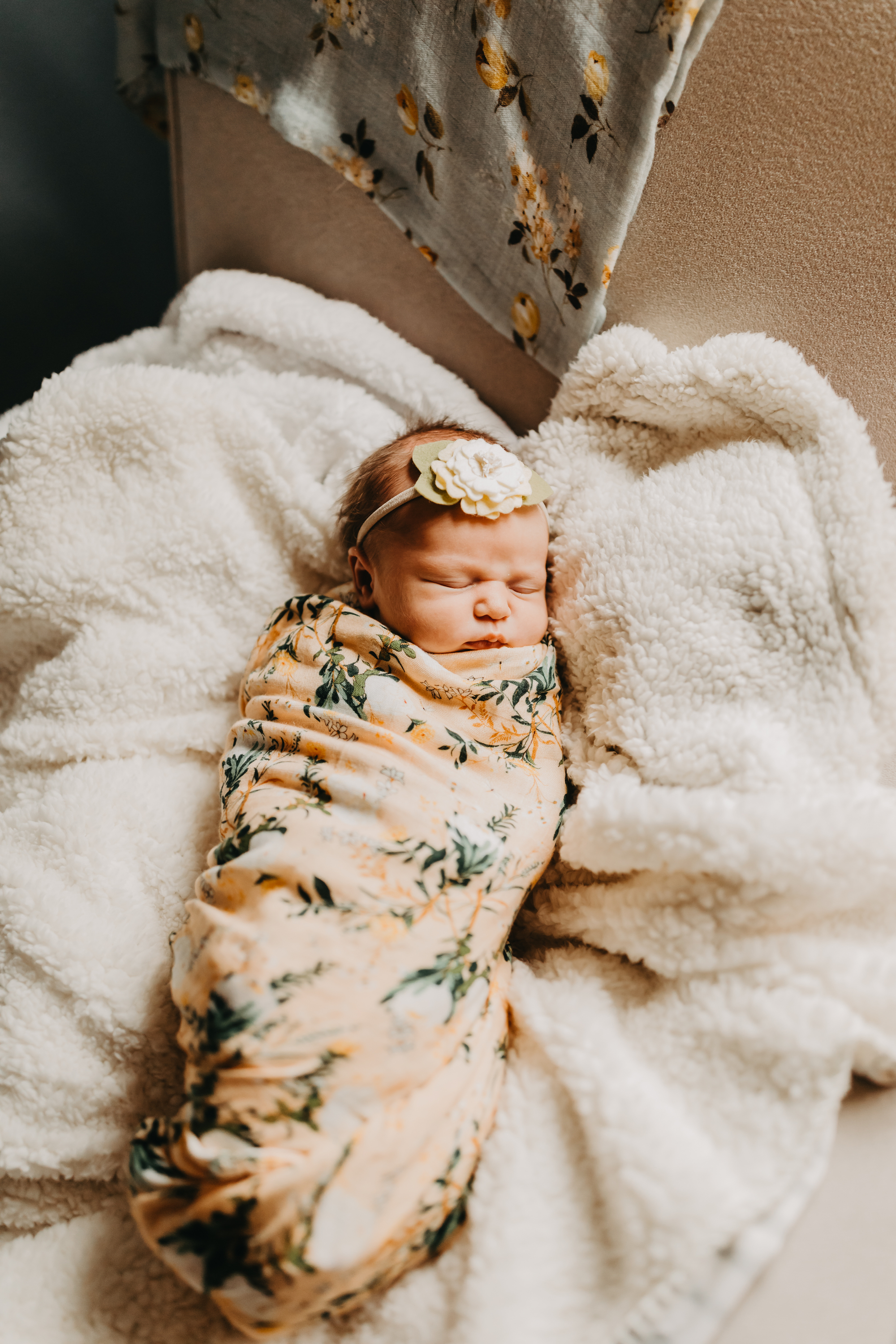 family, newborn, portraits, northern, beaches, photographer, photo, pic, fam, beach, lifestyle, indoor, safe, vaccinated, wrap, cute, cutie, best, of, Sydney, la, los, angeles, California, ca, desert, Palm Springs, redlands, county, riverside, San Diego,