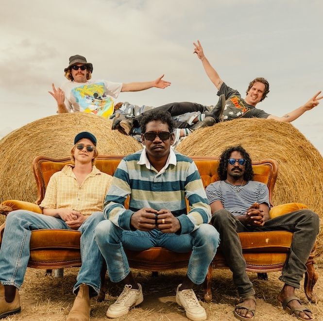 King Stingray - square Photo.jpg