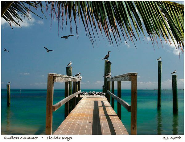 1Endless_summer_copy