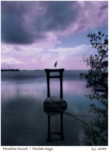 1Paradise_Found_copy