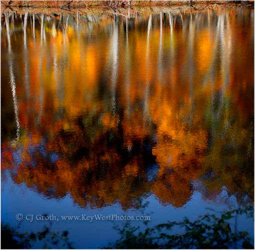 1_CJ_Groth_reflections_j