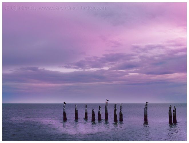 1Old_dock_purple