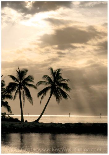 1Our_private_island2