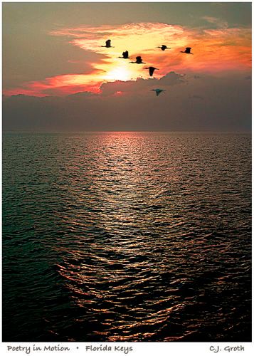 1Poetry_in_Motion_copy