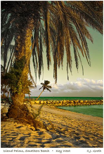 1Island_Palms_flat_copy
