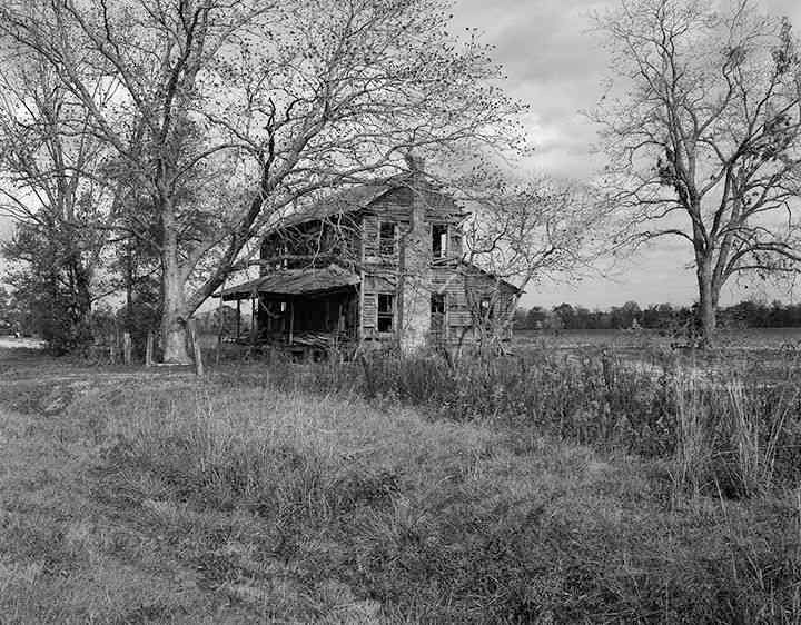 Old Sticks - New Sticks   2001