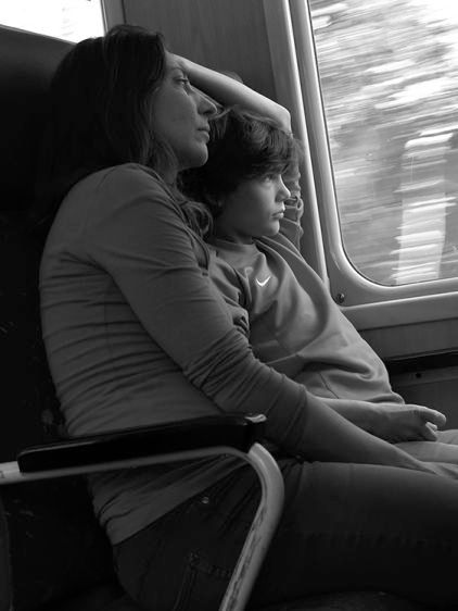 Train Companion 2016