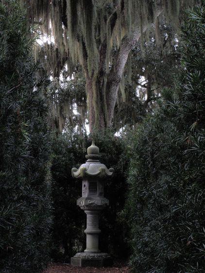 The Garden Idol  2011