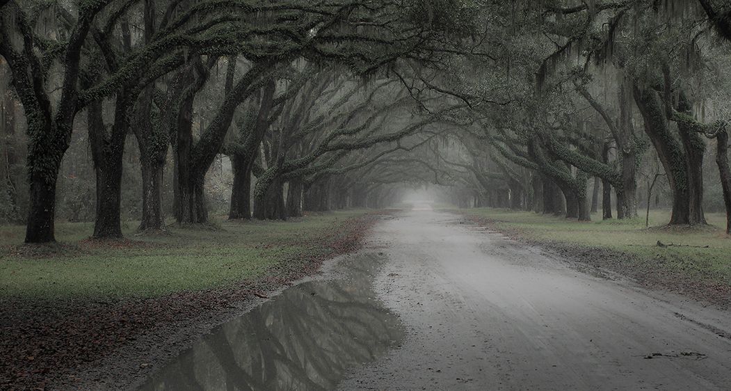 Wormsloe Picture Story  2009