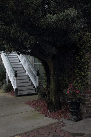 The White Steps   2015