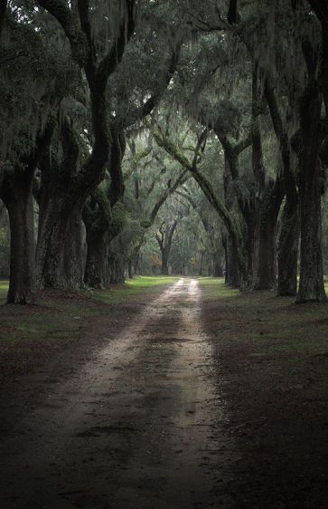 The Narrow Way  2009