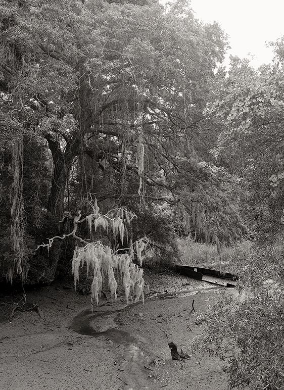 From Bridge Street  1998