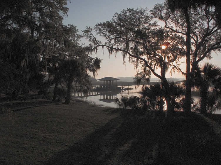 Morning - April II  2009