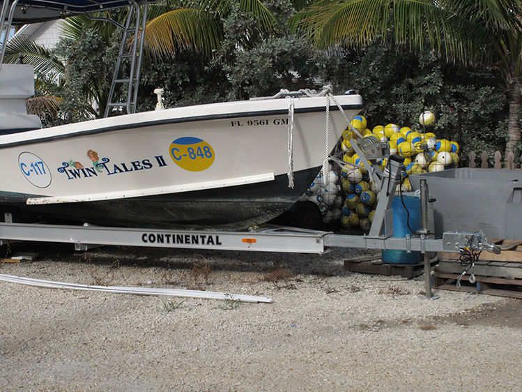 Individual Claims 2011