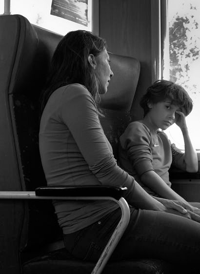 Train Companion II 2016