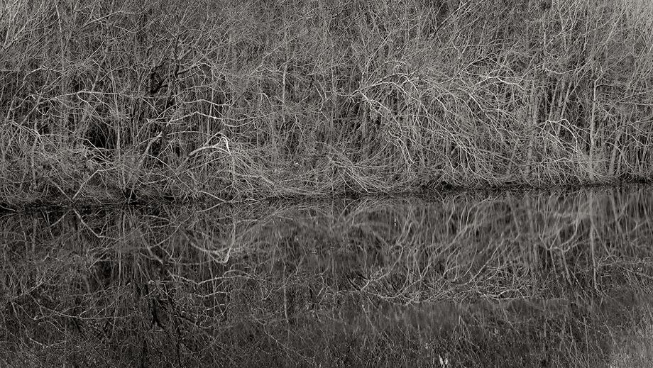 Granny Switches  2009