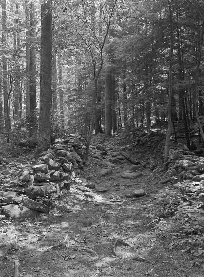 Where There Is a Road Less Traveled     1994