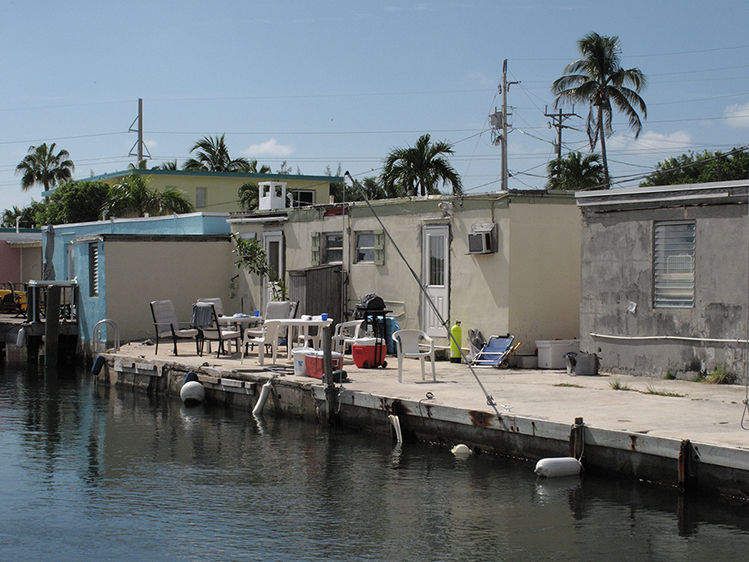 Until The Late Afternoon 2011