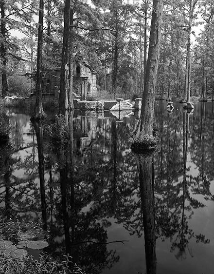 The Saturday Picnic  2004