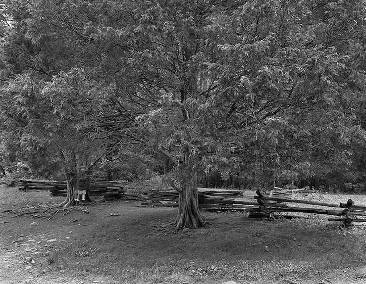 Emerging Recognition   1999