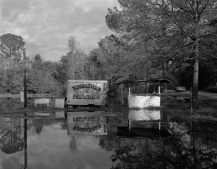 Vegie - Vegie Fruit - Fruit   2003