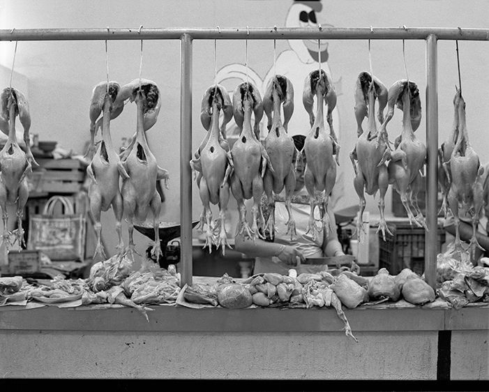 In Merida Market Mark Uzmann Photographs - 