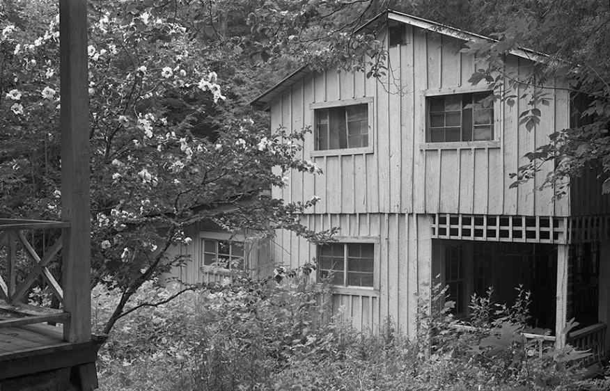 Elkmont Community - Study I     2002