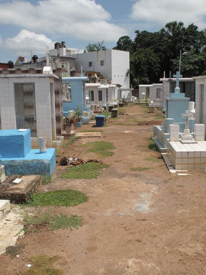 Community Bario  2013