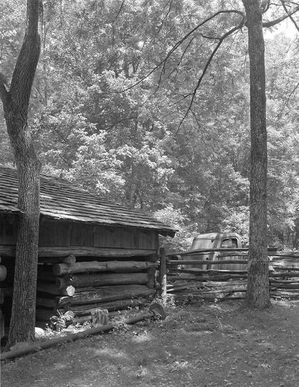 Forgive Me - Forgive Thee     1994