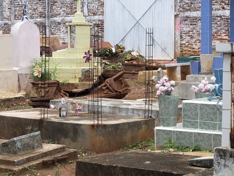 In The Pauper Garden  2013