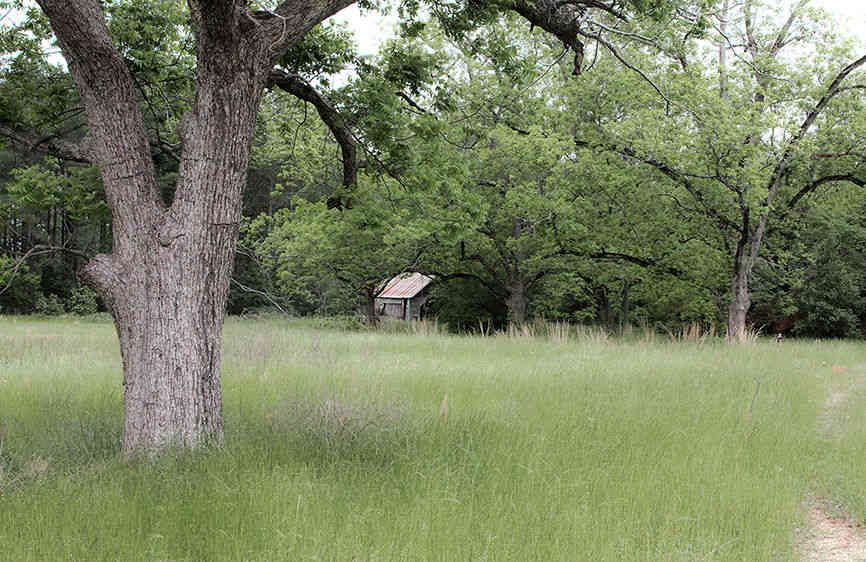 Once In Spring   2013