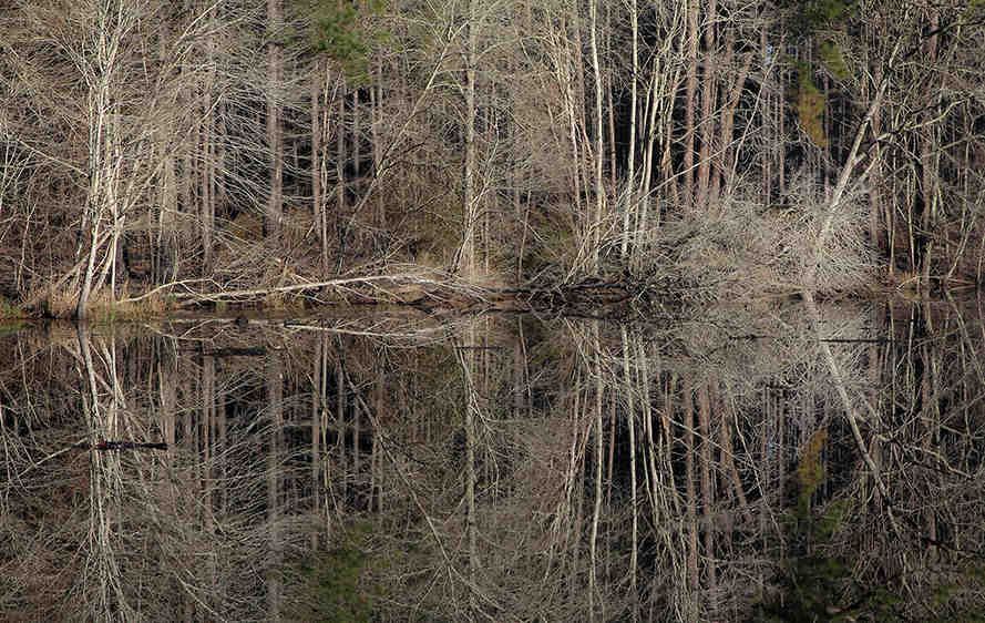 Winter Pond I   2014