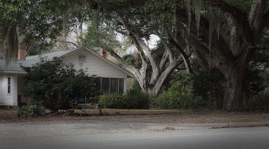 Morning Across The Way   2012