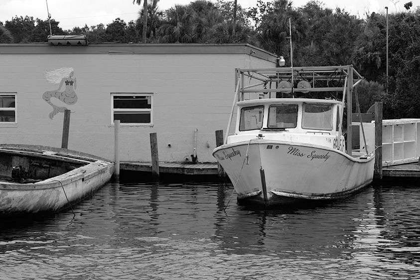 Miss Squeeky B&W 2015