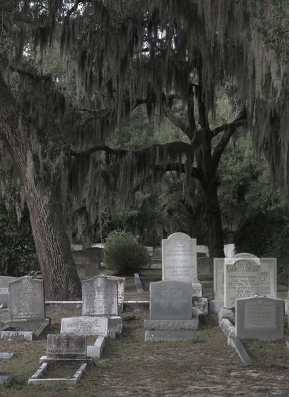 White Tablets   2015