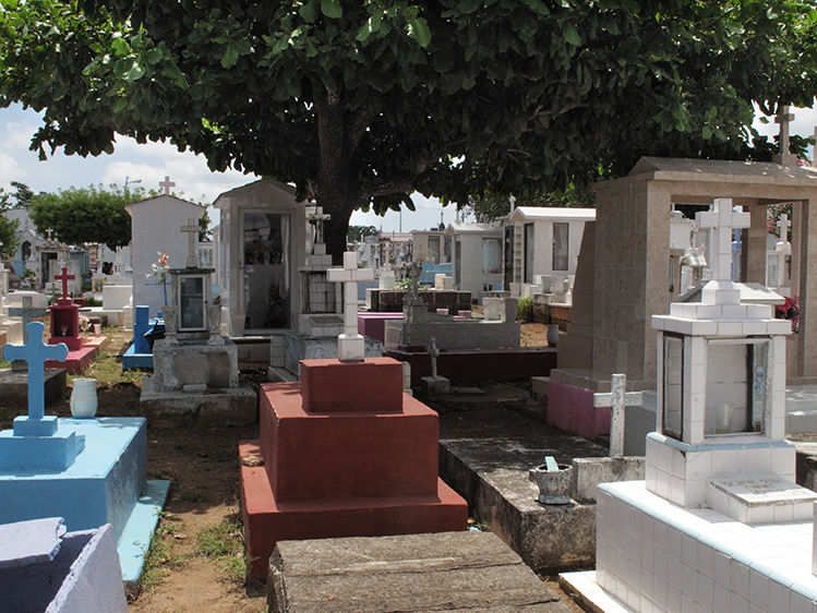 Shade Park Bario  2013