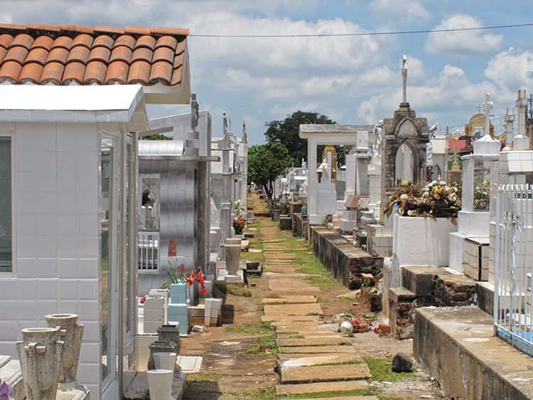 Walk-Way Over The Departed  2013