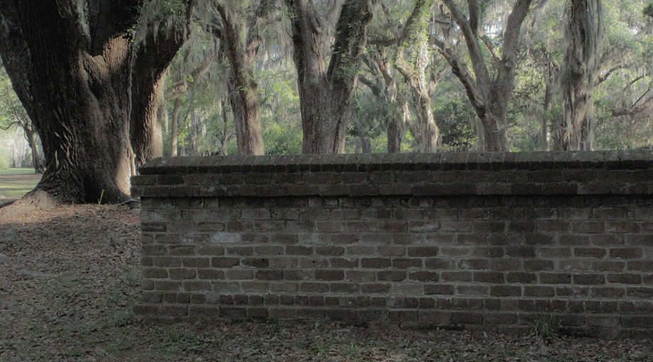 The Long Day Dream  2009