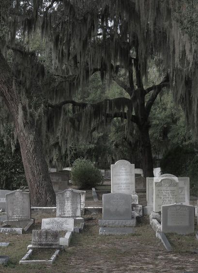 White Tablets - Bonaventure   2015