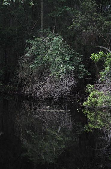 Around Yesterday 2011