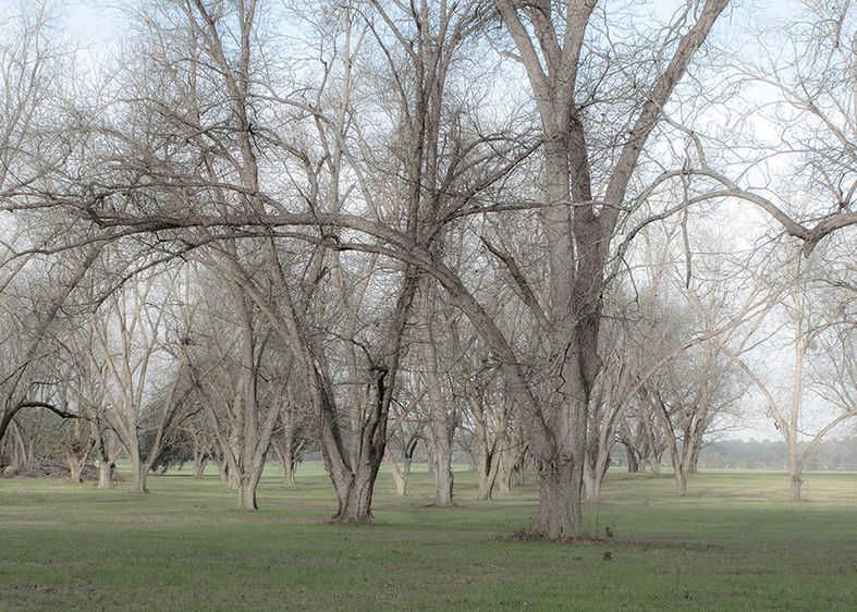 Pastells In Possibilities   2009