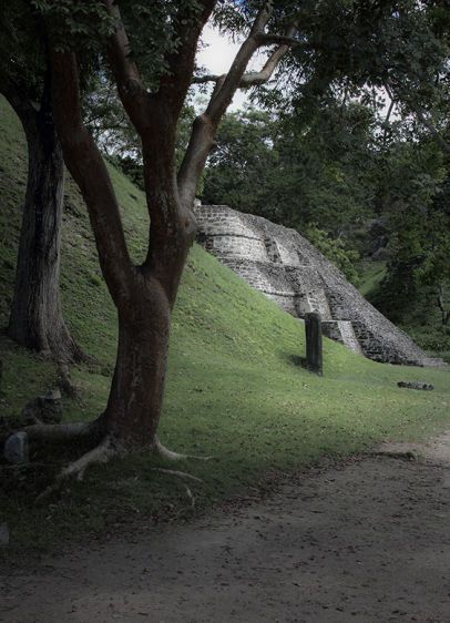 On The Way Back  2011