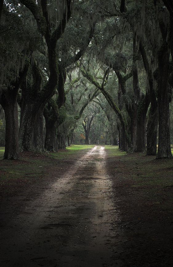 The Narrow Way  2009