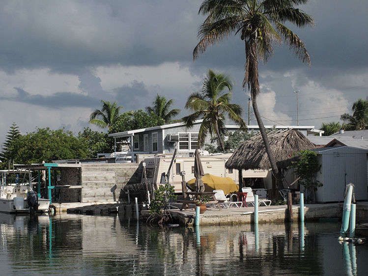 During The Day IV 2011