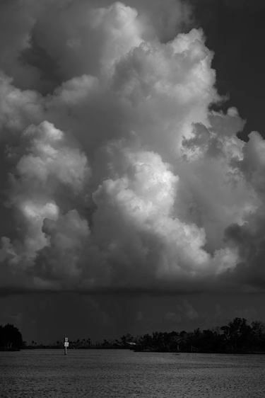 The Green Marker B&W   2015