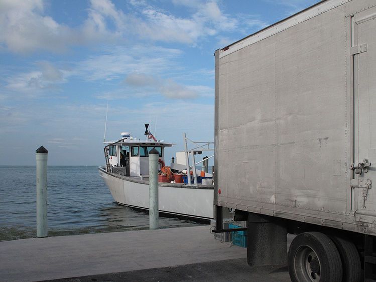 The Travel Agent 2011