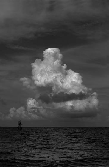 The Red Marker B&W    2015