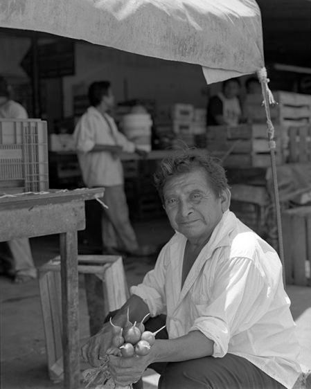 A Man With Radishes   2005