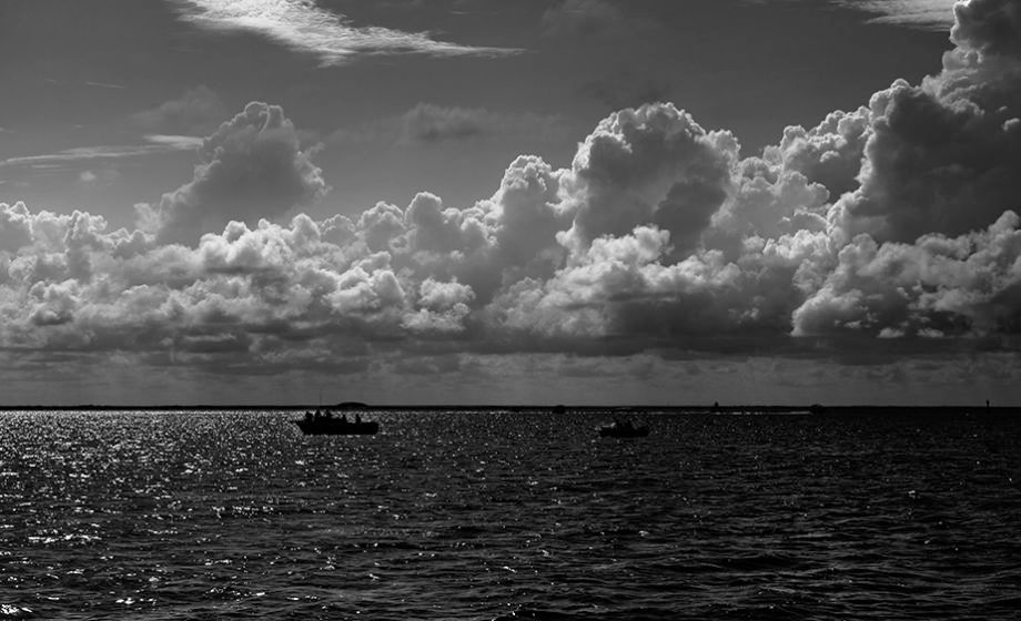 Scalloping B&W   2015